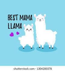 Little Llama 